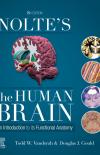 Nolte?s The Human Brain