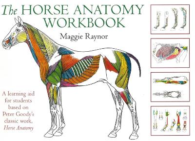 Horse anatomy workbook