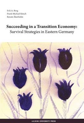 Succeeding in a transition economy