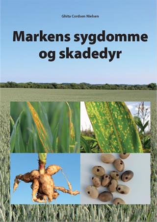 Markens sygdomme 24 udg 2022